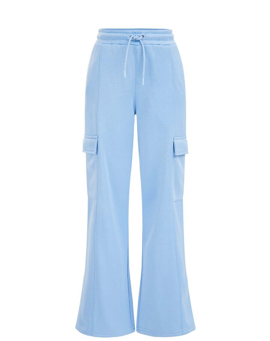 Повседневные брюки We Fashion, пастельный синий
Повседневные брюки We Fashion, пастельный синий