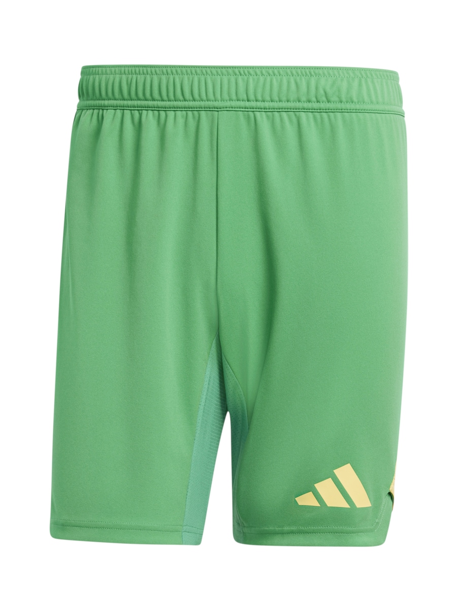 Обычные спортивные штаны ADIDAS PERFORMANCE Tiro, Lime
Обычные спортивные штаны ADIDAS PERFORMANCE Tiro, Lime