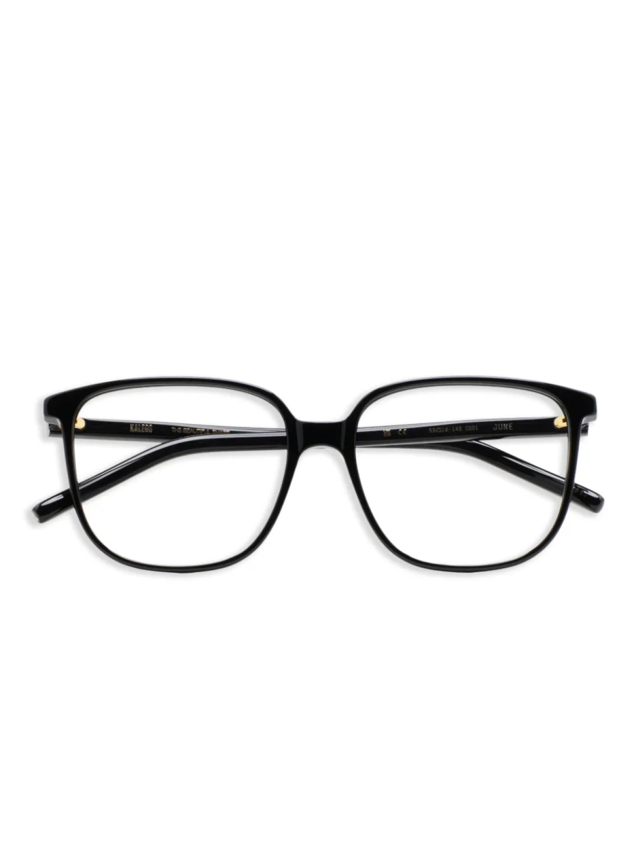 Очки Kaleos June 1, черный
Очки Kaleos June 1, черный