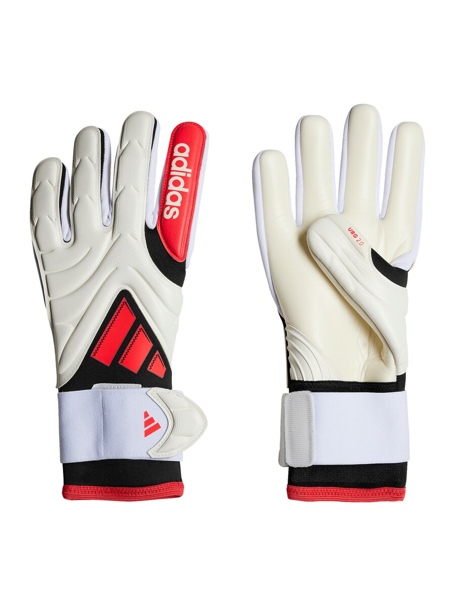 Спортивные перчатки ADIDAS PERFORMANCE Copa Pro, белый
Спортивные перчатки ADIDAS PERFORMANCE Copa Pro, белый