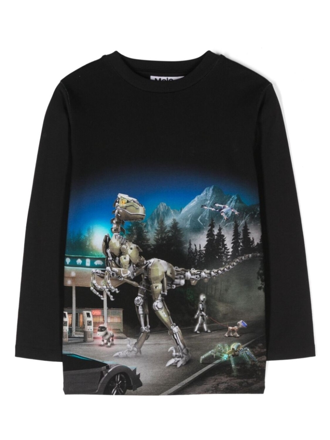 Molo футболка Reif с графичным принтом, черный
Molo футболка Reif с графичным принтом, черный