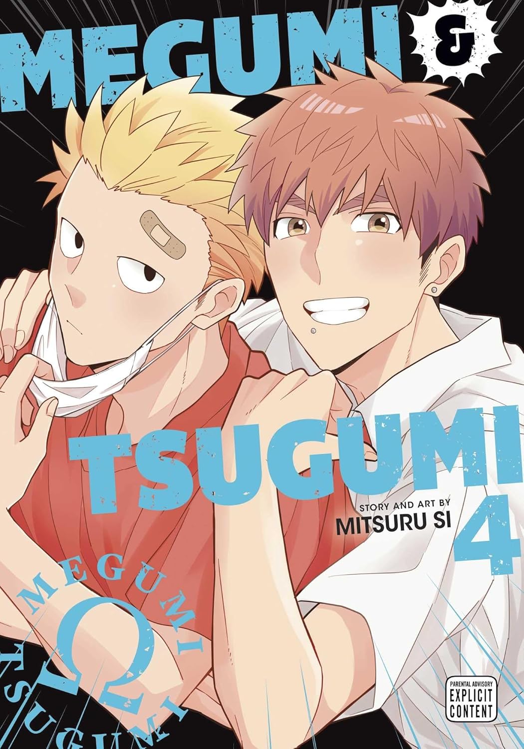 Megumi & Tsugumi, Vol. 4
Megumi & Tsugumi, Vol. 4