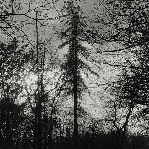 Виниловая пластинка Curse All Kings: Feral Earth
Виниловая пластинка Curse All Kings: Feral Earth