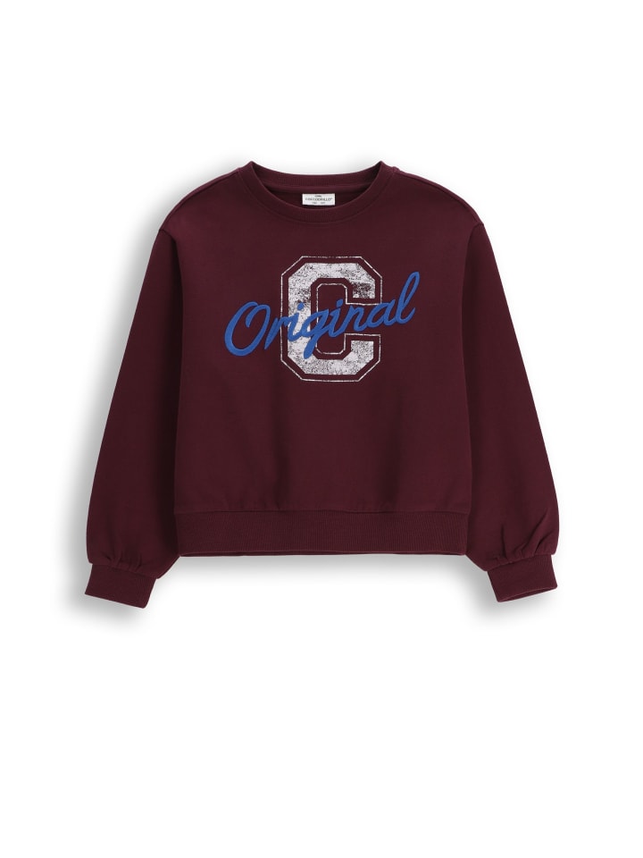 Толстовка Coccodrillo, коричневый
Толстовка Coccodrillo, коричневый