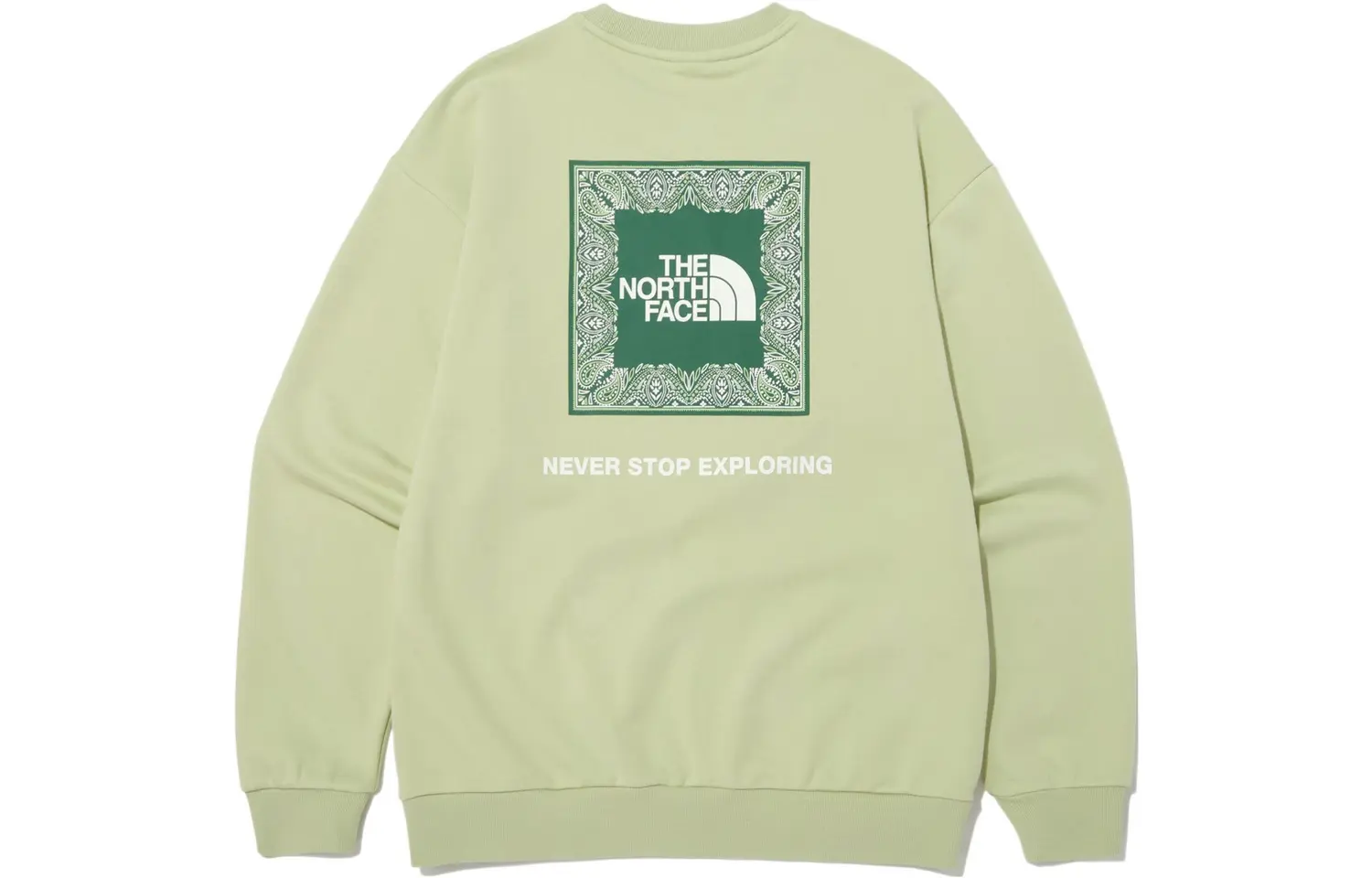 Толстовка мужская зеленая The North Face, зеленый
Толстовка мужская зеленая The North Face, зеленый