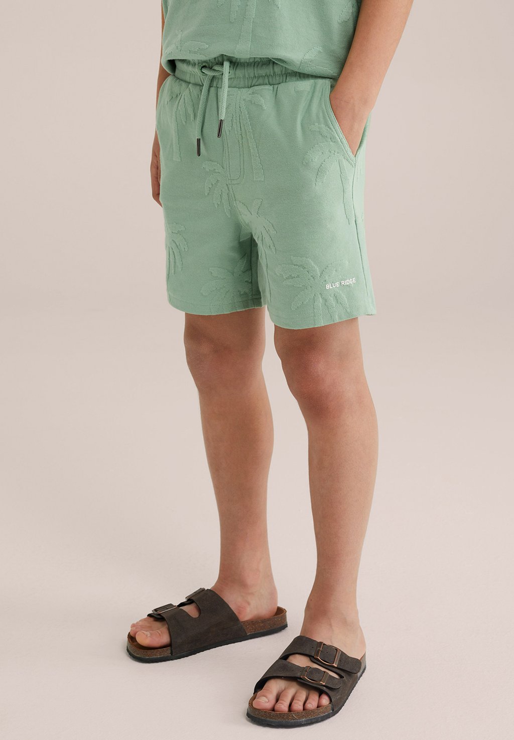 Шорты Pantaloni sportivi WE Fashion, цвет Sea Green
Шорты Pantaloni sportivi WE Fashion, цвет Sea Green