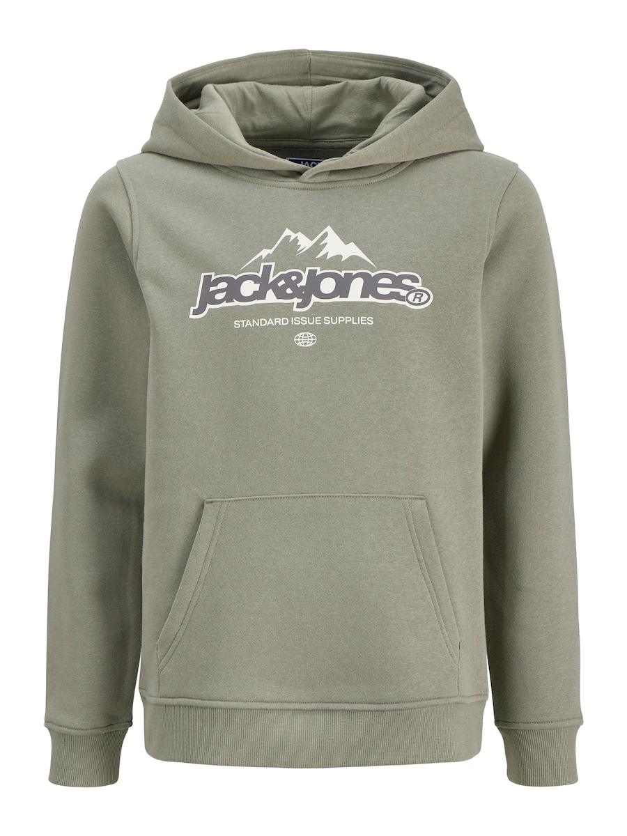 Толстовка Jack & Jones Junior JCOFlare, Reed
Толстовка Jack & Jones Junior JCOFlare, Reed