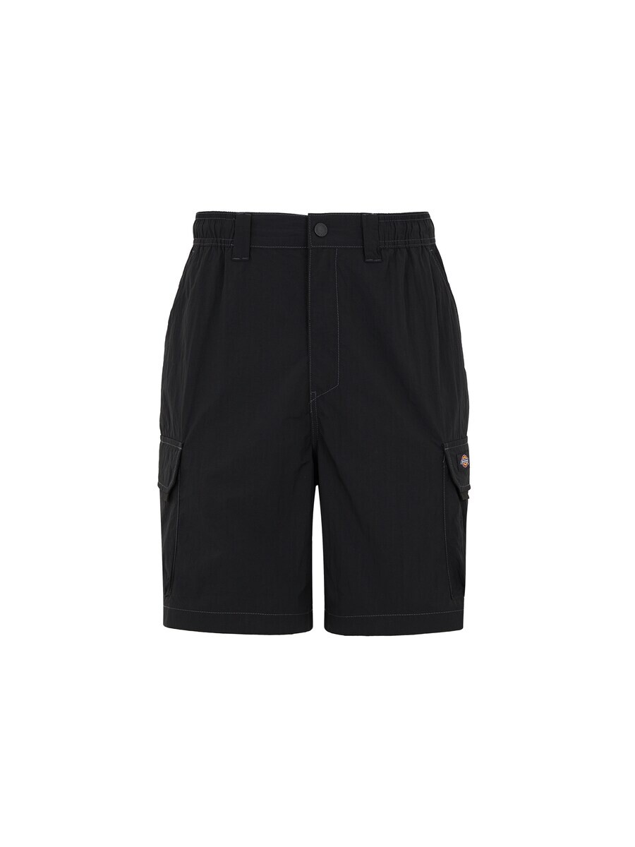 Шорты-карго DICKIES Regular Cargo Pants Jackson, черный
Шорты-карго DICKIES Regular Cargo Pants Jackson, черный
