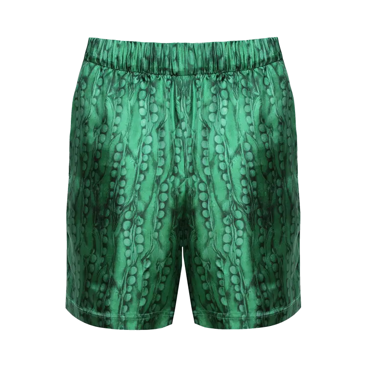 Шорты Givenchy Formal Elasticated 'Green', зеленый
Шорты Givenchy Formal Elasticated 'Green', зеленый