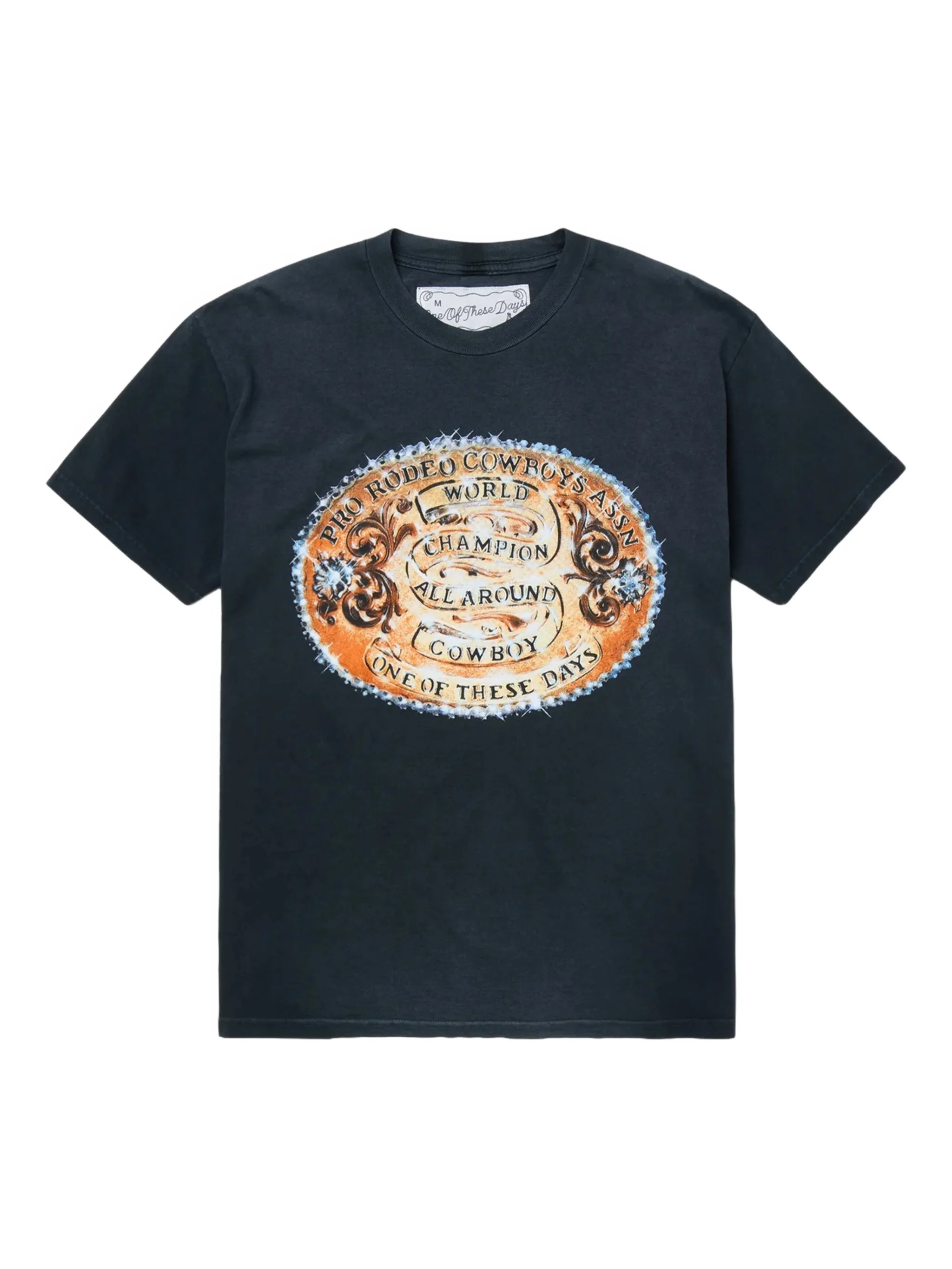 Футболка World Champions One Of These Days, черный
Футболка World Champions One Of These Days, черный