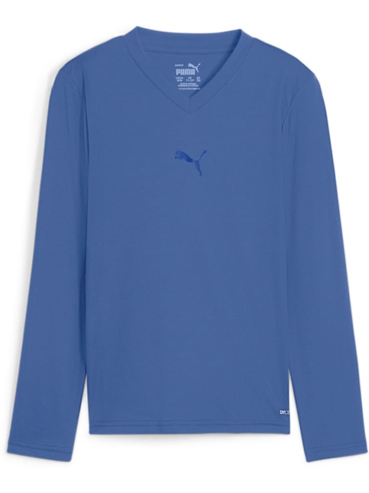 Футболка TeamGoal Baselayer Tee Longsleeve Jr. синего цвета Puma
Футболка TeamGoal Baselayer Tee Longsleeve Jr. синего цвета Puma