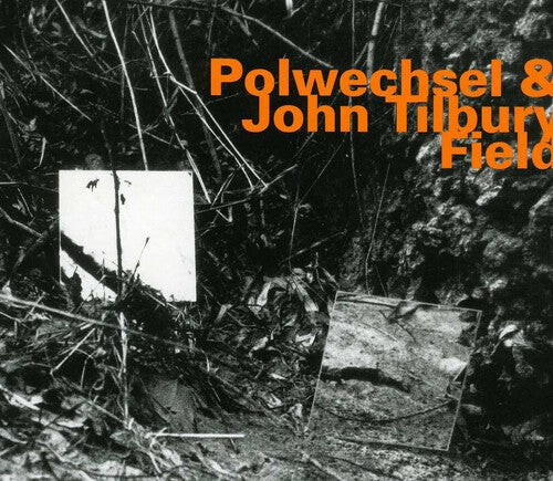 CD диск Polwechsel & John Tilbury: Field
CD диск Polwechsel & John Tilbury: Field