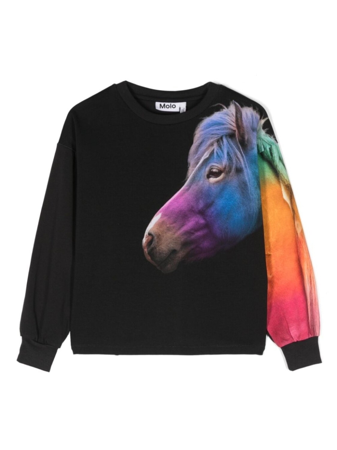 Molo толстовка Reniza с принтом, черный
Molo толстовка Reniza с принтом, черный