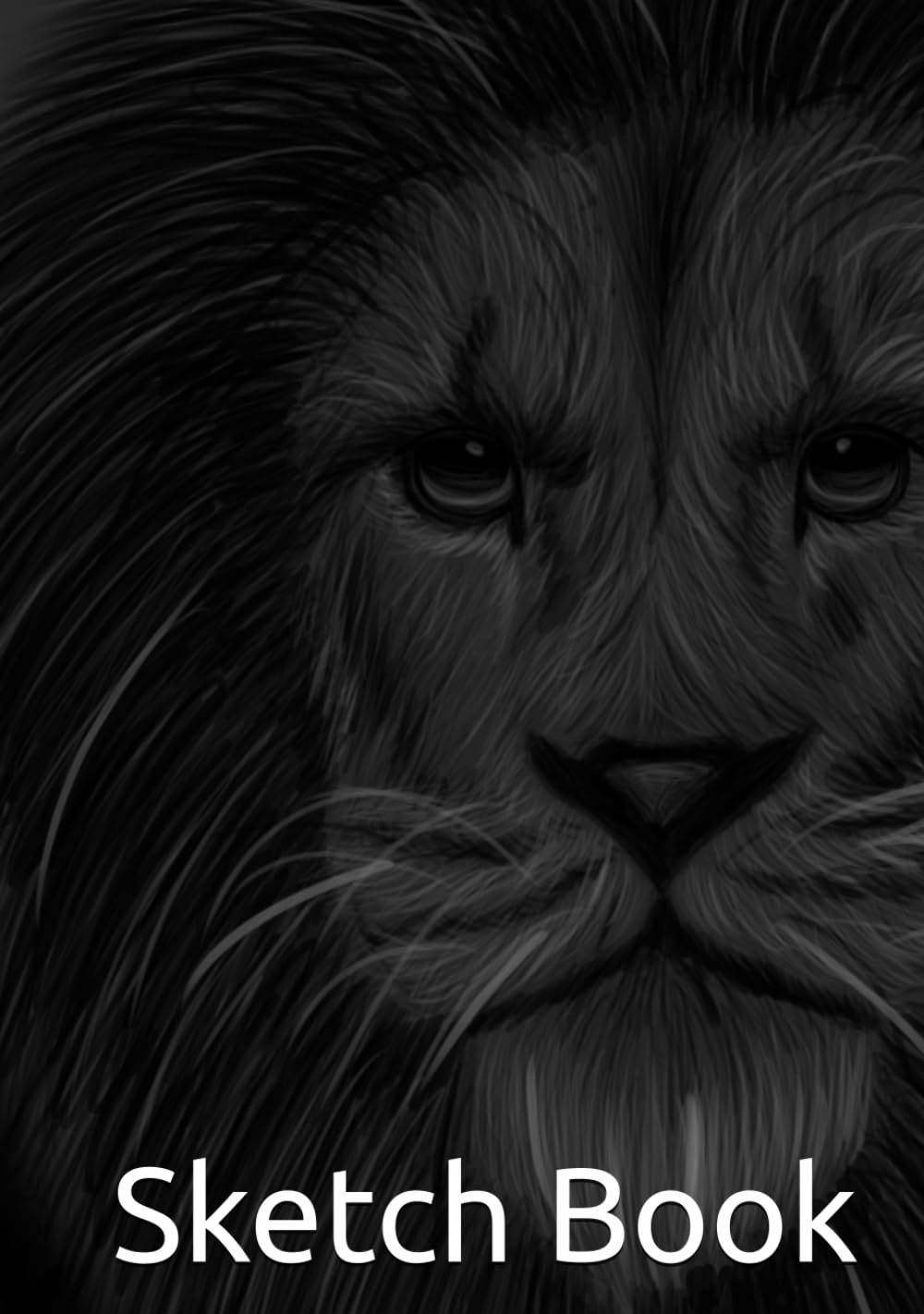 Sketch Book (Independently published)
Sketch Book (Independently published)