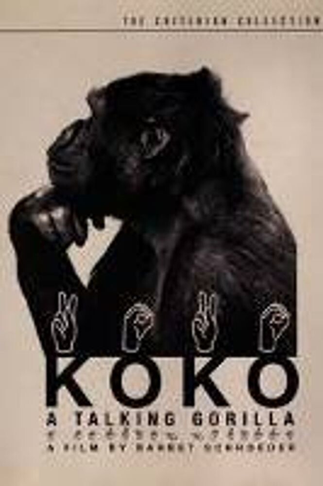 Диск DVD Koko-A Talking Gorilla
Диск DVD Koko-A Talking Gorilla