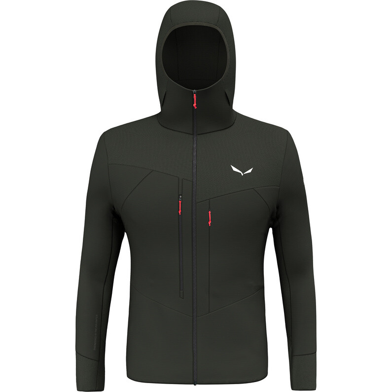 Мужская куртка Agner Pl Hd Salewa, зеленый
Мужская куртка Agner Pl Hd Salewa, зеленый