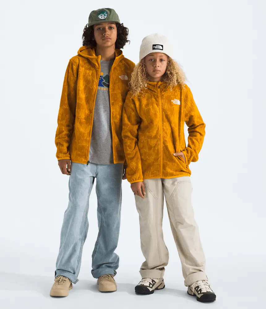 Толстовка Glacier с капюшоном на молнии для мальчиков и девочек с принтом The North Face, Summit Gold Regenerative
Толстовка Glacier с капюшоном на молнии для мальчиков и девочек с принтом The North Face, Summit Gold Regenerative