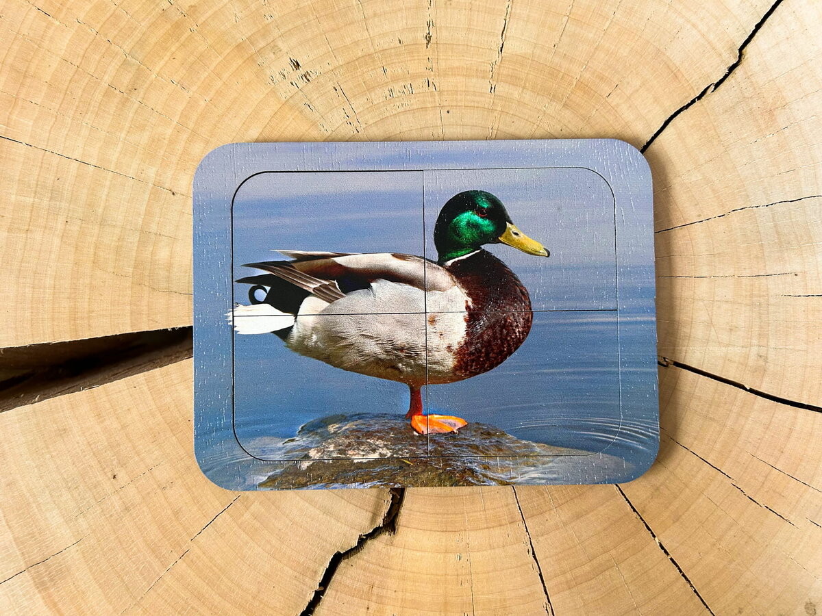 Утка, деревянный пазл с четырьмя элементами, основа с подписью, первый пазл Inna marka
Утка, деревянный пазл с четырьмя элементами, основа с подписью, первый пазл Inna marka