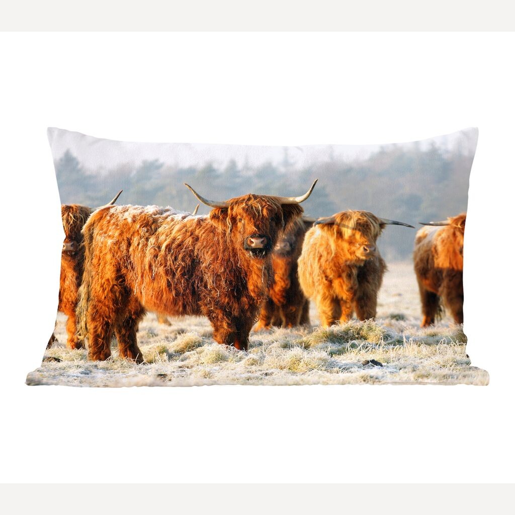 MuchoWow Scottish Highlanders - Шотландские горцы зимним утром - 50x30 см - чехлы на диванные подушки - без наполнителя
MuchoWow Scottish Highlanders - Шотландские горцы зимним утром - 50x30 см - чехлы на диванные подушки - без наполнителя