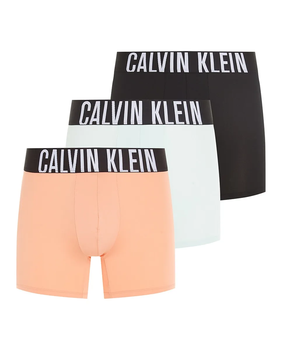Упаковка из 3 длинных боксеров Calvin Klein, мультиколор 
Упаковка из 3 длинных боксеров Calvin Klein, мультиколор