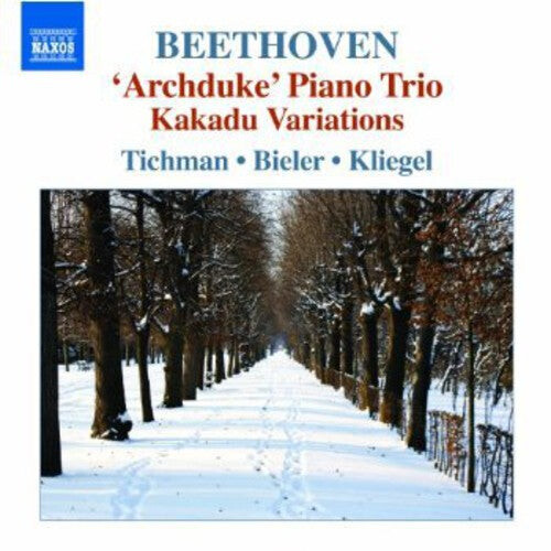 CD диск Beethoven / Xyrion Trio: Piano Trios 5
CD диск Beethoven / Xyrion Trio: Piano Trios 5