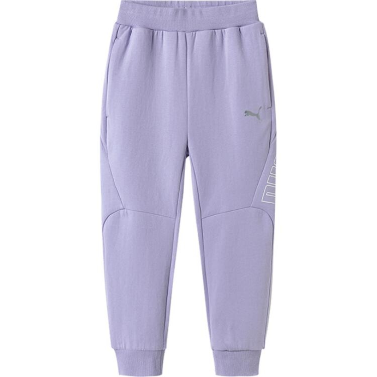 Трикотажные спортивные штаны GS Puma, фиолетовый
Трикотажные спортивные штаны GS Puma, фиолетовый
