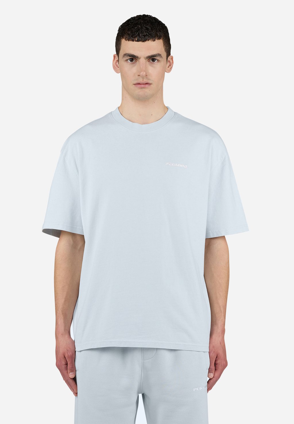 Футболка с принтом LOGO TEE Pegador, светло-голубой
Футболка с принтом LOGO TEE Pegador, светло-голубой