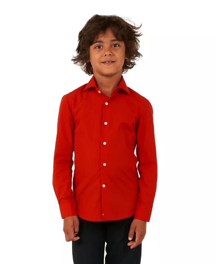 Рубашка с длинными рукавами Devil для малышей и маленьких мальчиков Opposuits, красный
Рубашка с длинными рукавами Devil для малышей и маленьких мальчиков Opposuits, красный