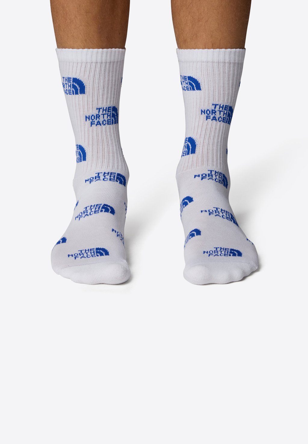 Носки EVERYDAY CREW LOGO 2 PACK The North Face, белый
Носки EVERYDAY CREW LOGO 2 PACK The North Face, белый