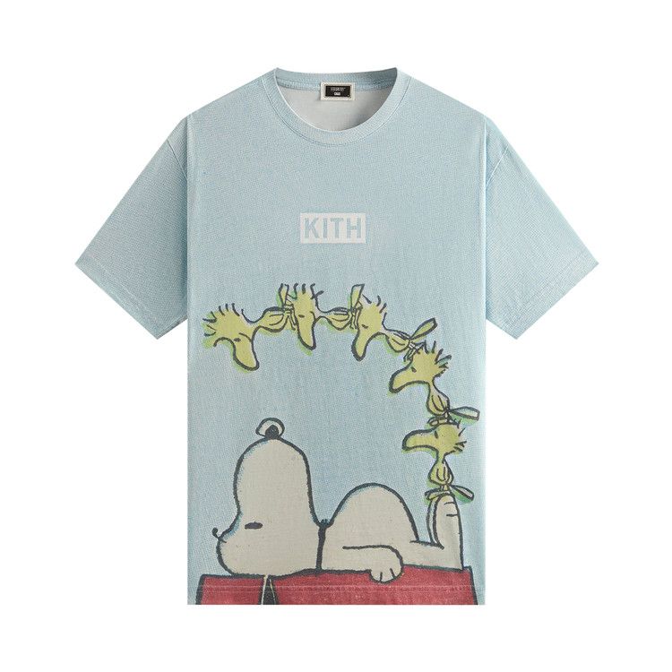 Футболка Kith For Peanuts Woodstock Doghouse Comic Vintage Tee, Glisten
Футболка Kith For Peanuts Woodstock Doghouse Comic Vintage Tee, Glisten