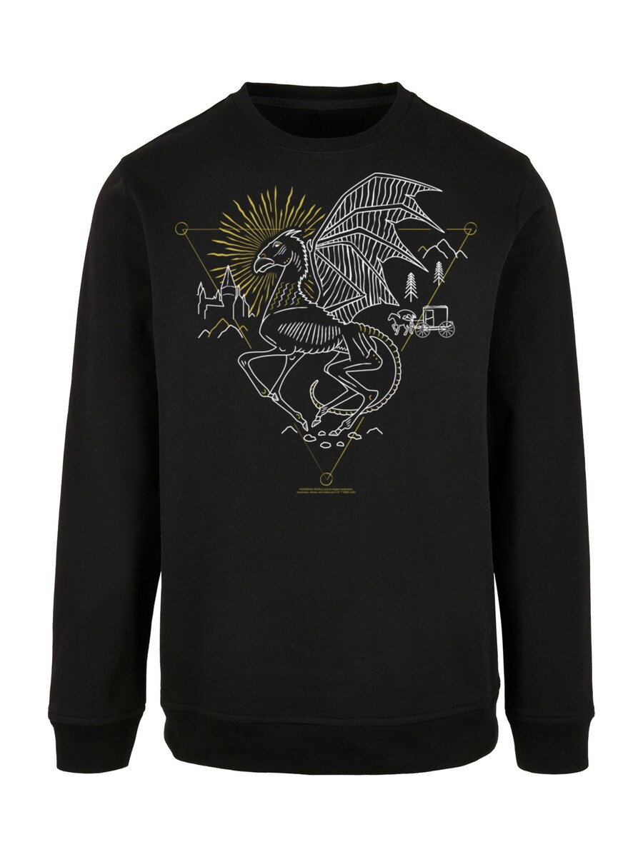 Толстовка F4NT4STIC Harry Potter, черный
Толстовка F4NT4STIC Harry Potter, черный