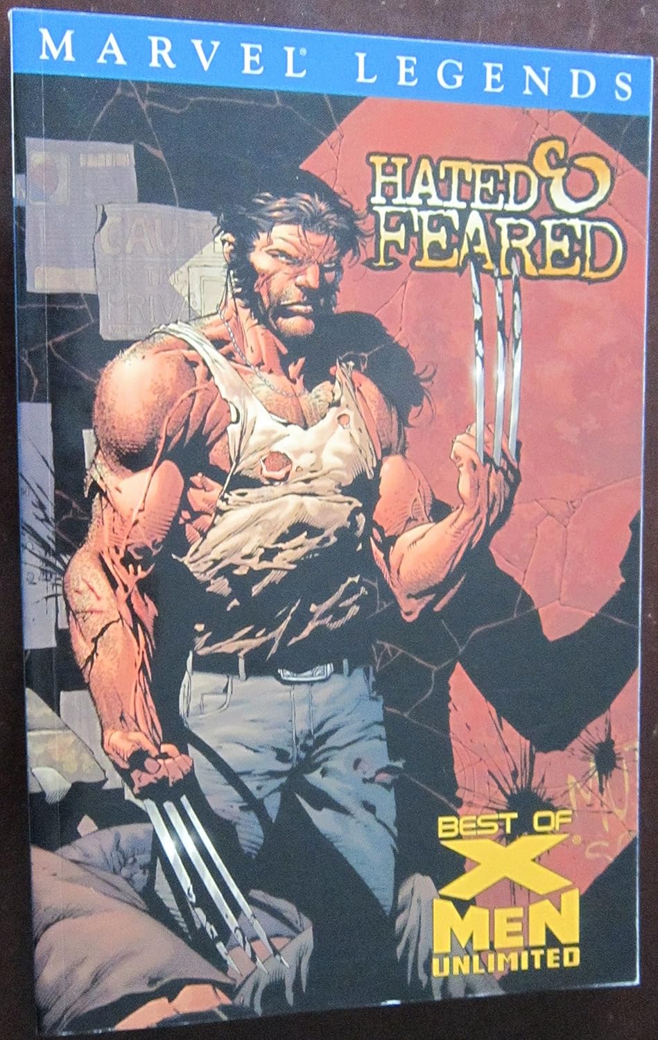 X-Men Legends Volume 4: Hated & Feared TPB (Marvel Comics)
X-Men Legends Volume 4: Hated & Feared TPB (Marvel Comics)