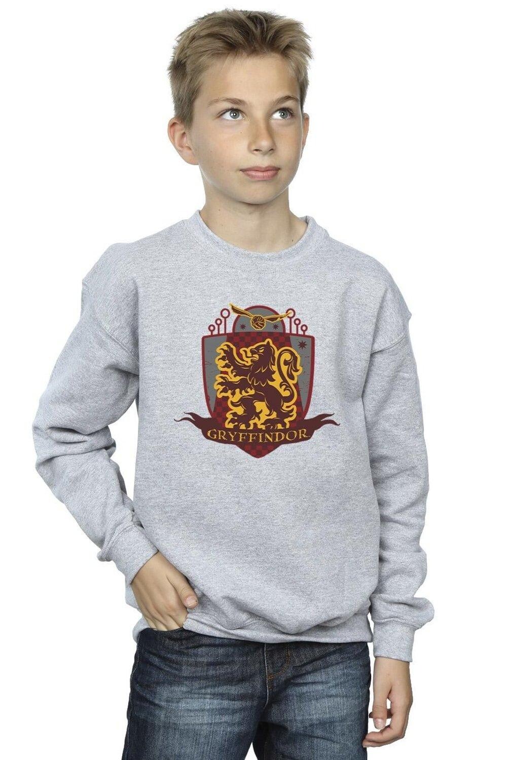 Толстовка с нагрудным значком Гриффиндора Harry Potter, серый
Толстовка с нагрудным значком Гриффиндора Harry Potter, серый