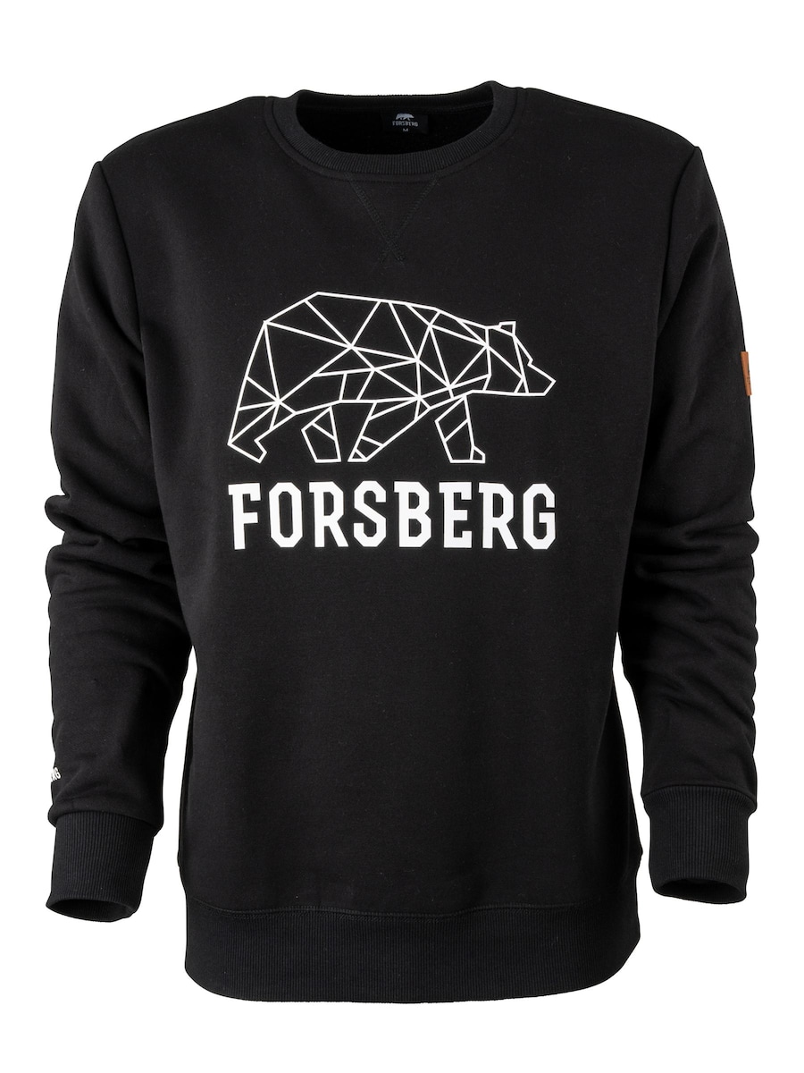 Толстовка FORSBERG Bertson mit Logo, черный
Толстовка FORSBERG Bertson mit Logo, черный