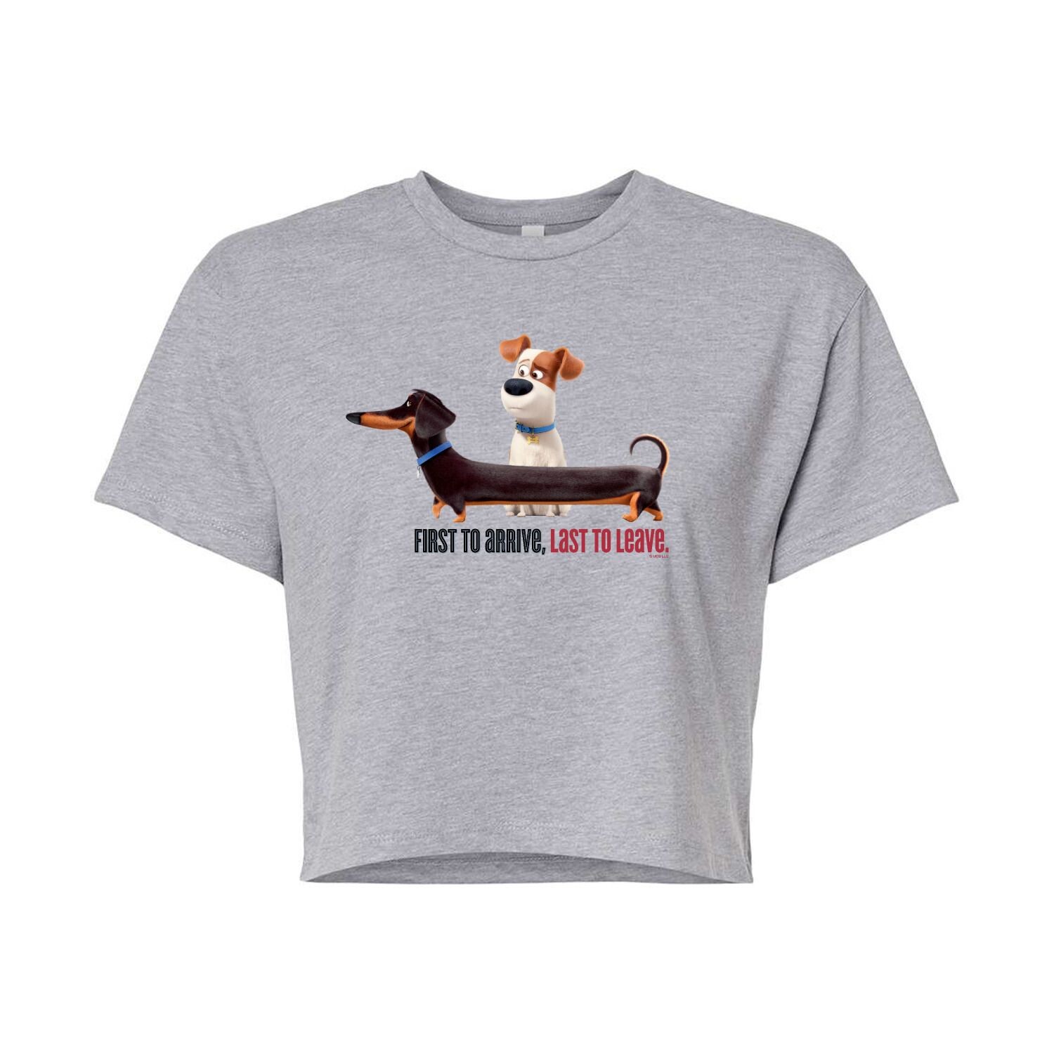 Укороченная футболка с рисунком Juniors' Secret Life Pets Arrive Licensed Character, серый
Укороченная футболка с рисунком Juniors' Secret Life Pets Arrive Licensed Character, серый