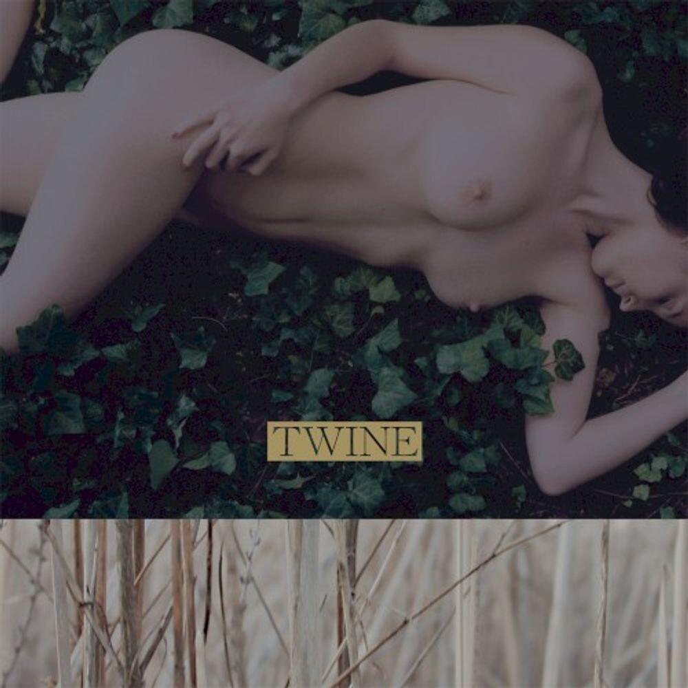 Диск CD Twine - Twine
Диск CD Twine - Twine