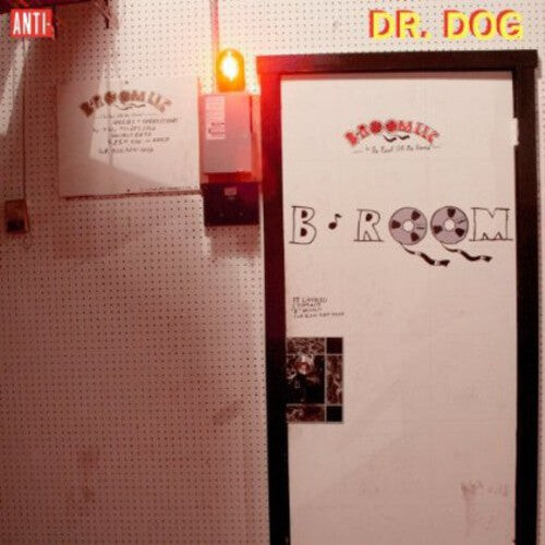CD диск Dr Dog: B-Room
CD диск Dr Dog: B-Room