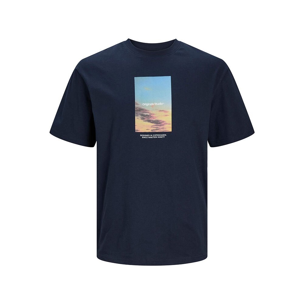 Футболка Jack & Jones Vesterbro Picture, синий
Футболка Jack & Jones Vesterbro Picture, синий