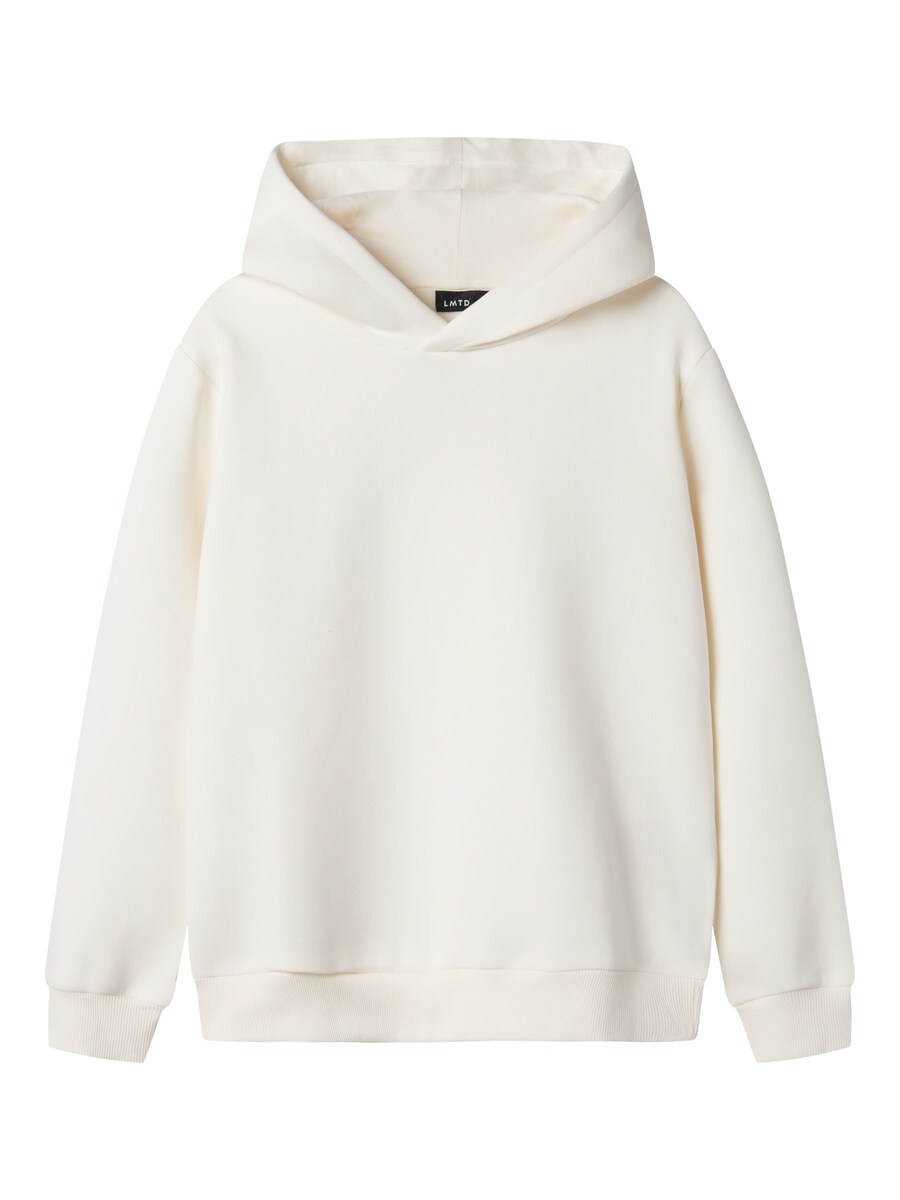 Толстовка с капюшоном на молнии NAME IT, белый
Толстовка с капюшоном на молнии NAME IT, белый