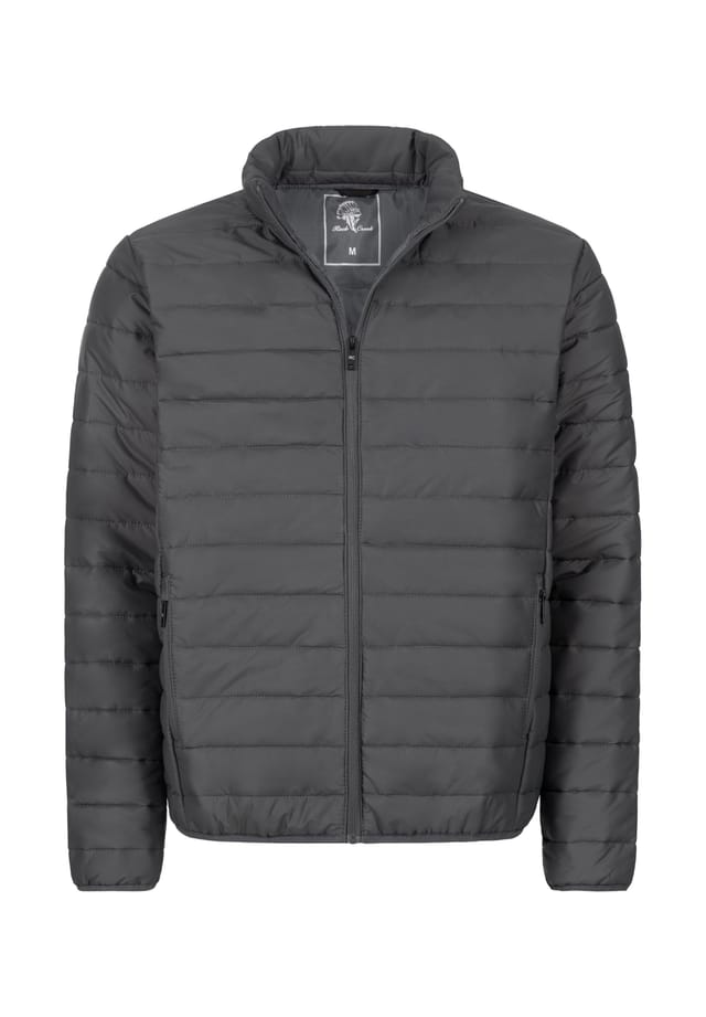 Стеганая куртка Rock Creek, серый
Стеганая куртка Rock Creek, серый