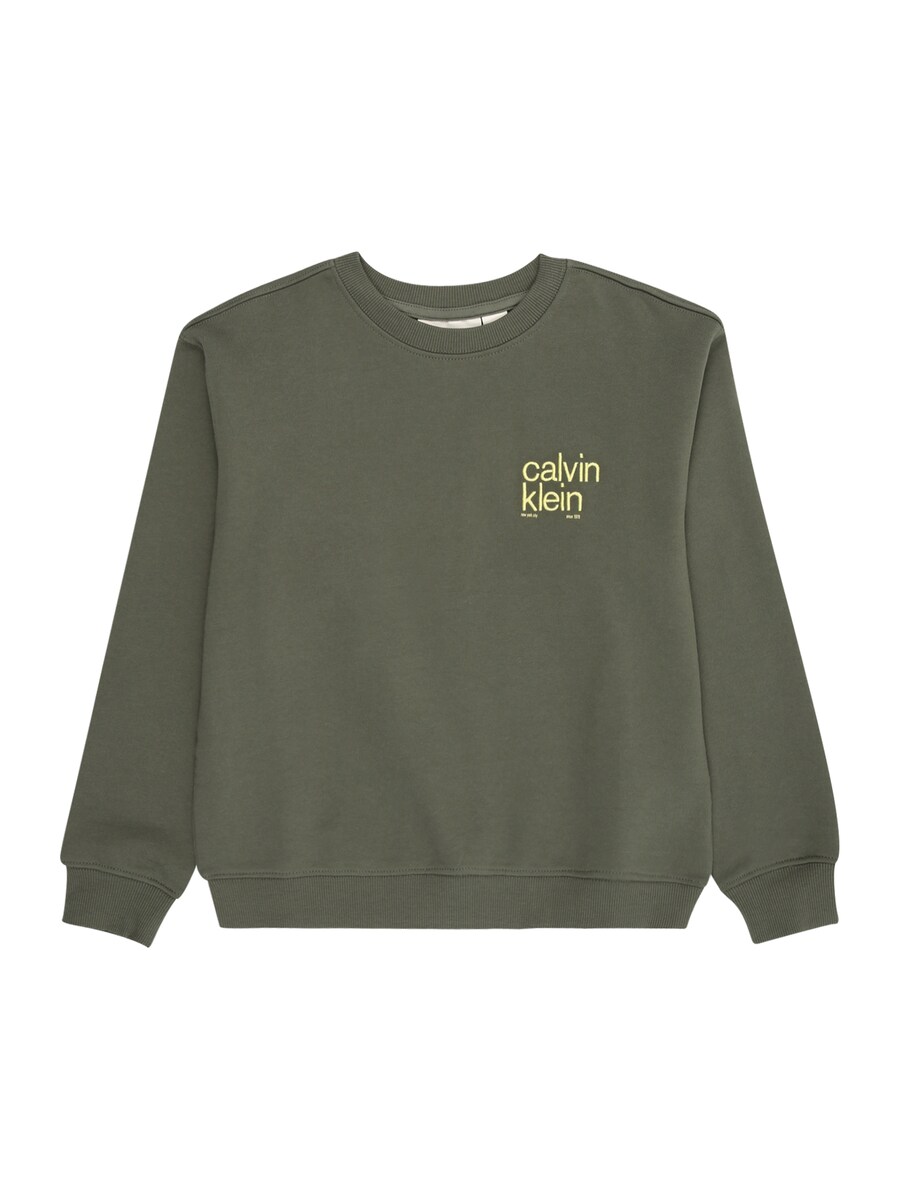 Толстовка Calvin Klein Jeans, Mottled Green
Толстовка Calvin Klein Jeans, Mottled Green