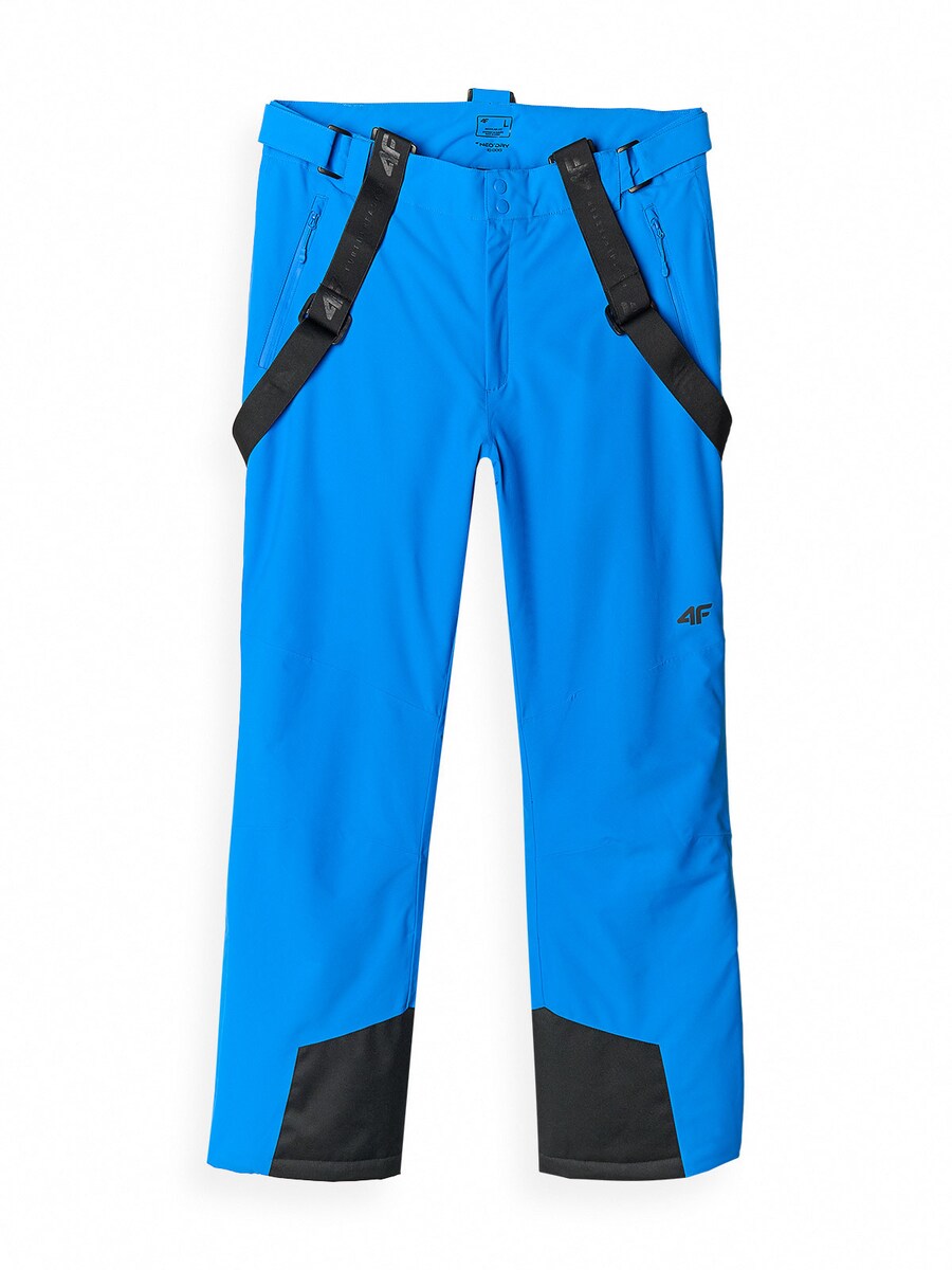 Обычные уличные брюки 4F, королевский синий
Обычные уличные брюки 4F, королевский синий