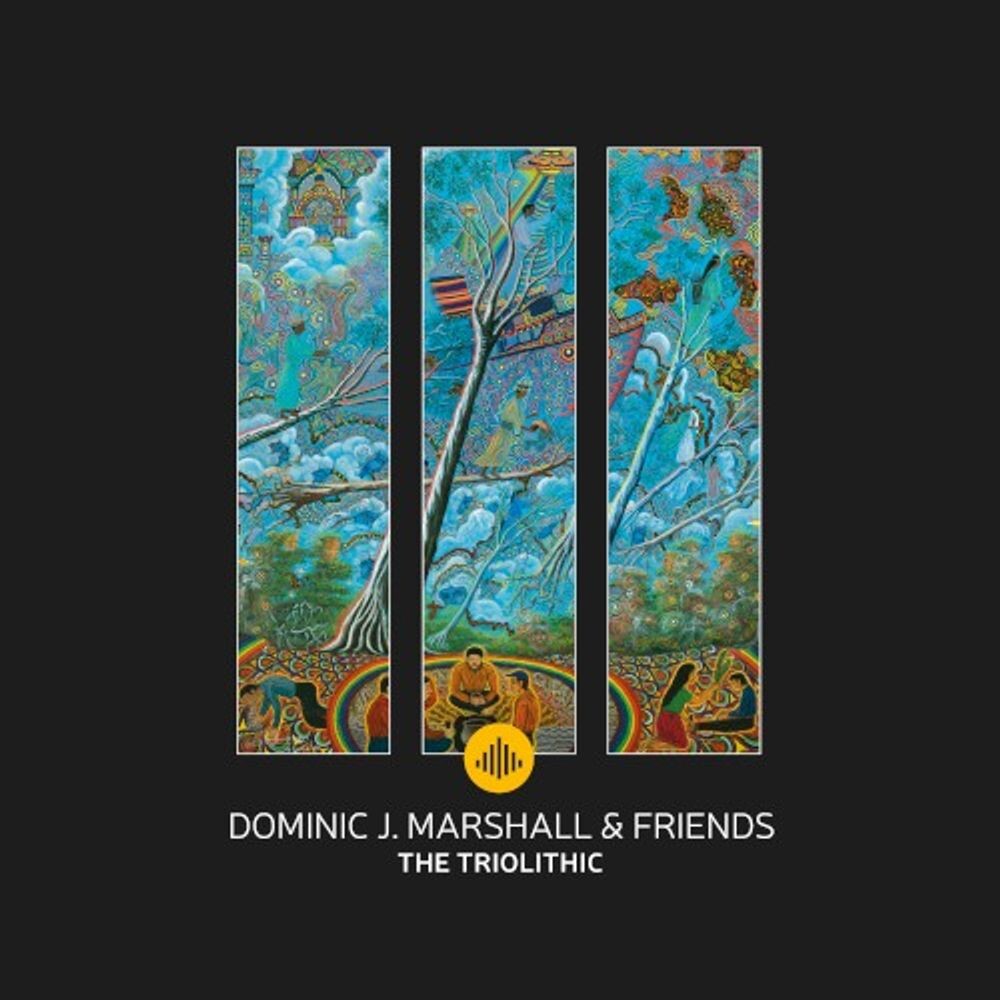 Диск CD Triolithic - Marshall
Диск CD Triolithic - Marshall