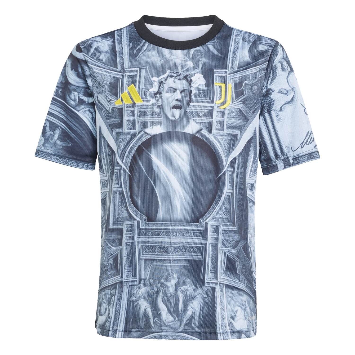 Adidas Performance Футболка Performance 'Juventus Turin 25/26' в цвете Basalt Grey, Light Grey
Adidas Performance Футболка Performance 'Juventus Turin 25/26' в цвете Basalt Grey, Light Grey