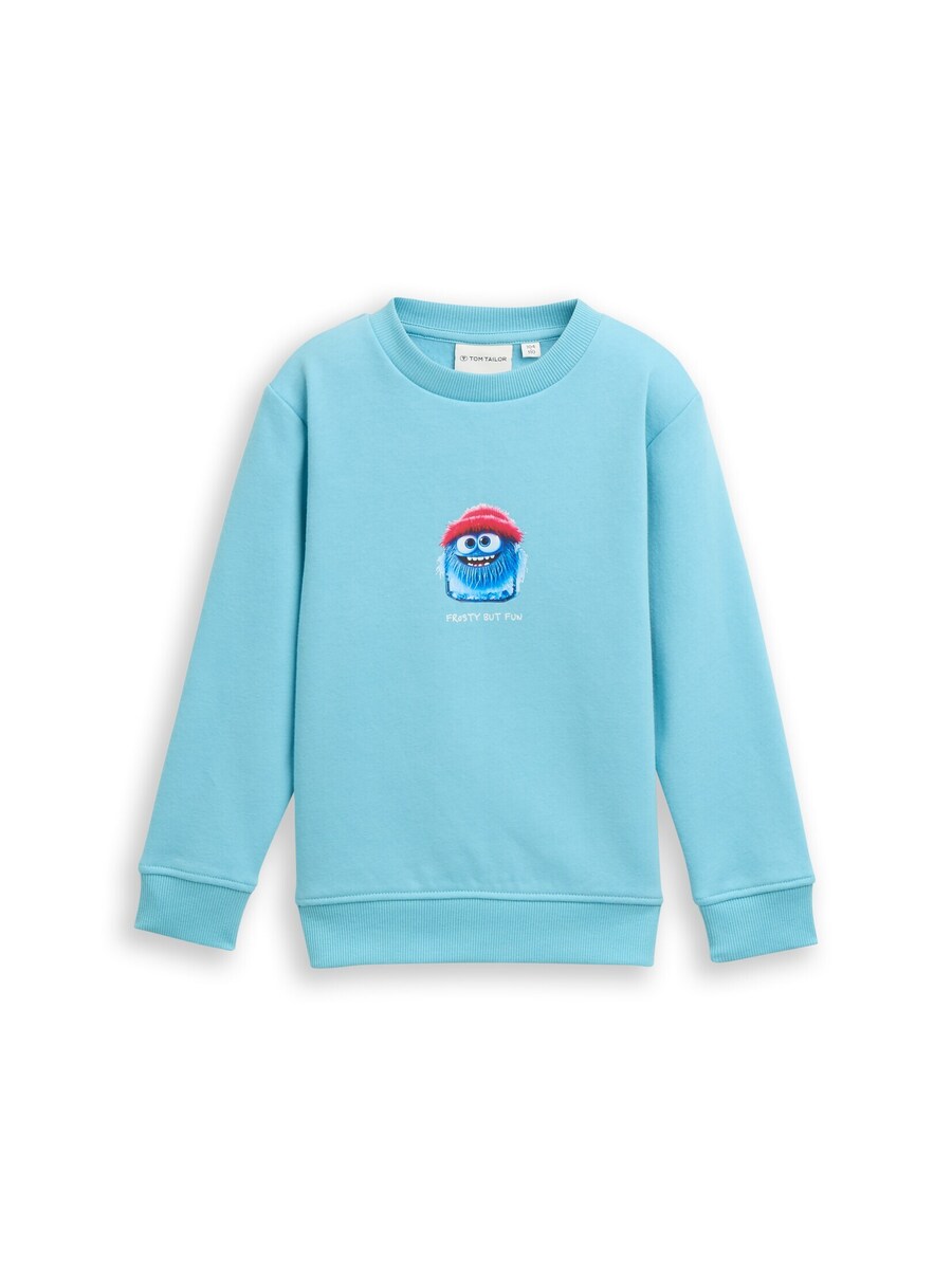 Толстовка TOM TAILOR, синий/голубой
Толстовка TOM TAILOR, синий/голубой