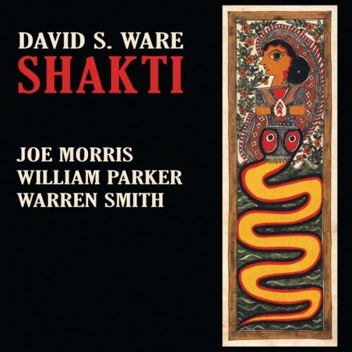 CD диск Ware, David S: Shakti
CD диск Ware, David S: Shakti