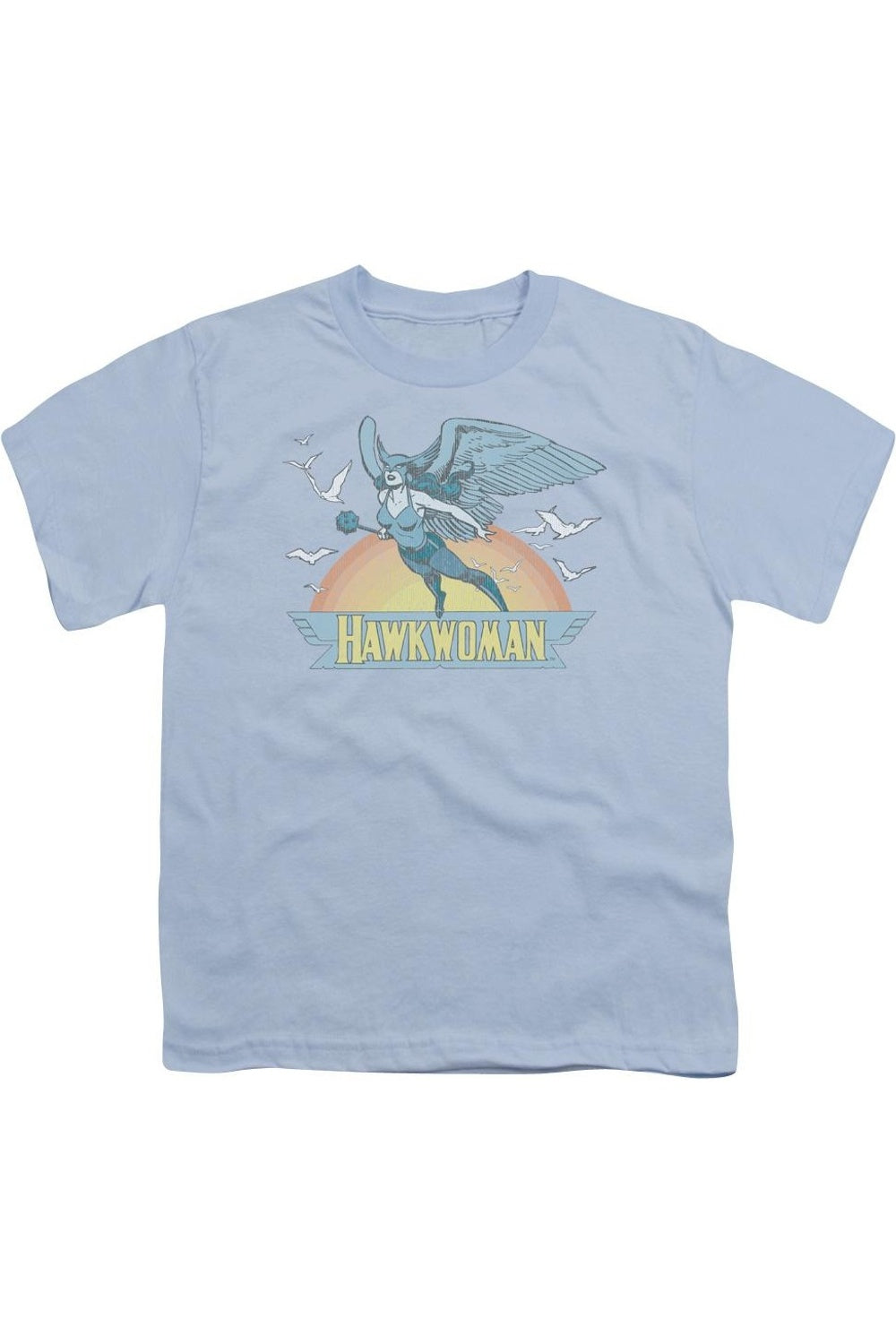 Футболка с коротким рукавом DC Comics Hawkwoman для детей Gildan, светло-голубой
Футболка с коротким рукавом DC Comics Hawkwoman для детей Gildan, светло-голубой