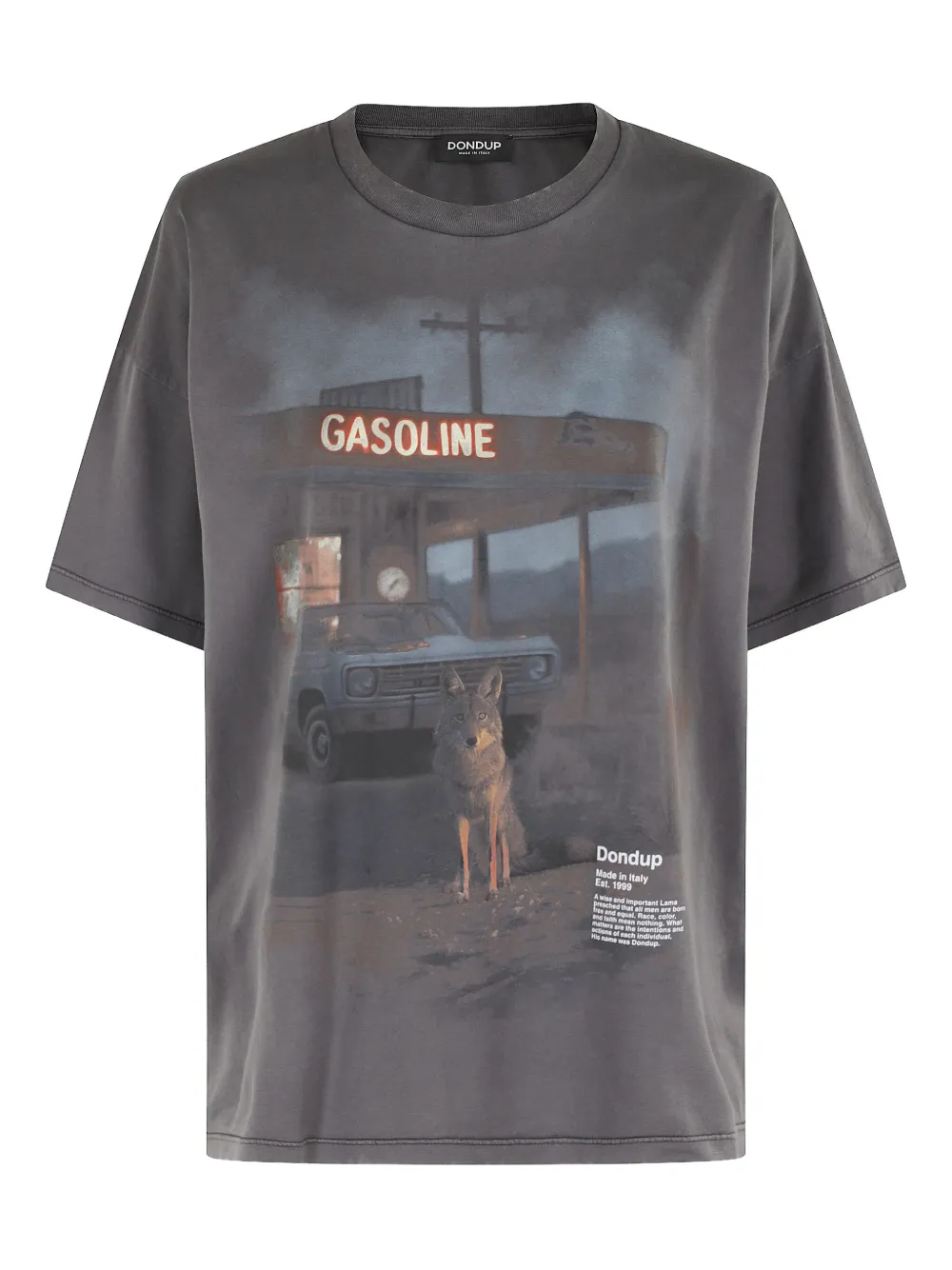 Футболка с принтом Dondup, серый
Футболка с принтом Dondup, серый