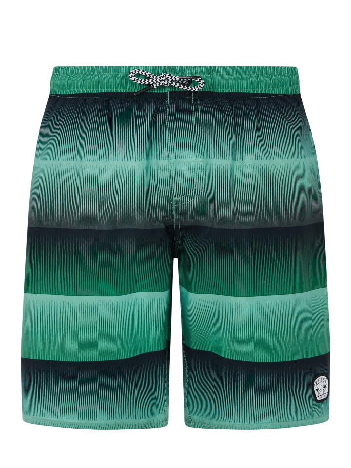 Шорты для плавания Protest
Шорты для плавания Protest