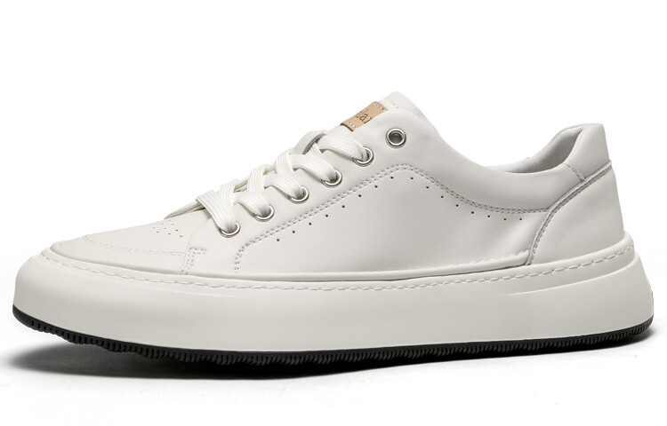 Стильные мужские кроссовки для скейтбординга с низким верхом белого цвета Leaveland, Белый, Стильные мужские кроссовки для скейтбординга с низким верхом белого цвета Leaveland